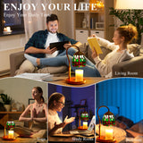 LIBOZMKO Tiffany Style Candle Warmer Lamp with Timer, Dimmable Dragonfly Stained Glass Candle Lamp Warmer,  Vintage Candle Light for Scented Candles with 2 Bulbs